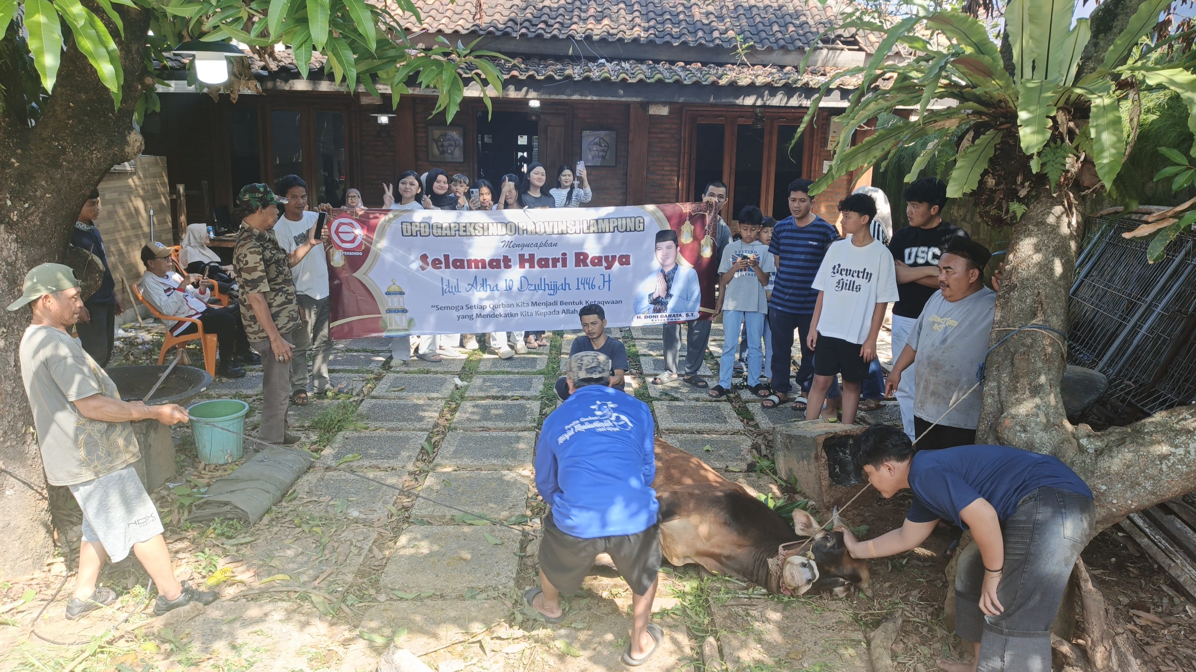Gambar untuk Momentum Idul Adha: DPD Gapeksindo Lampung Gelar Pemotongan Hewan Kurban, Wujudkan Kepedulian Sosial di Tengah Doa dari Tanah Suci